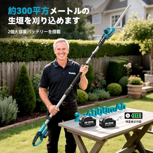 Amazon.co.jp: Seesii